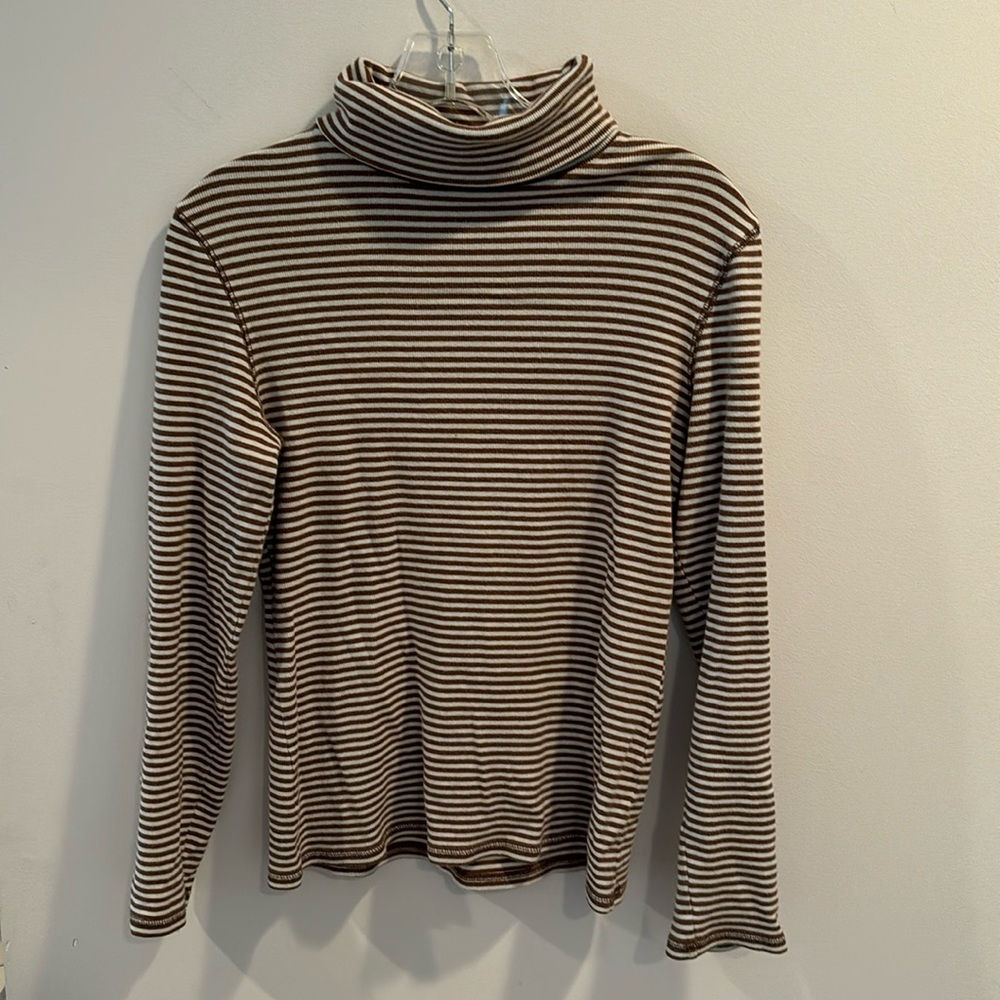Mint Green and Brown Turtleneck